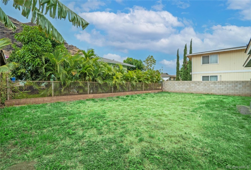 Backyard view from house - grass has been enhanced