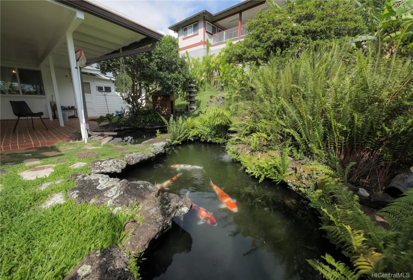 Tranquil Koi pond in lush setting in the backyard.