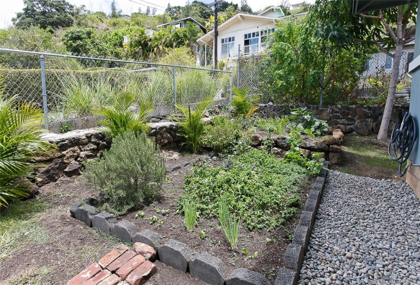 Delicious herb and vegetable garden.