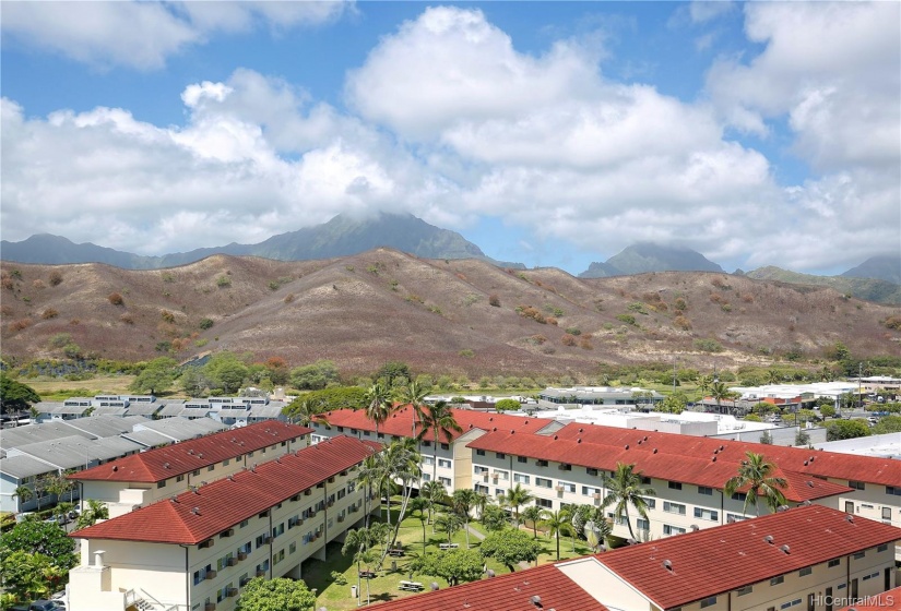 Kailua's rolling hills.