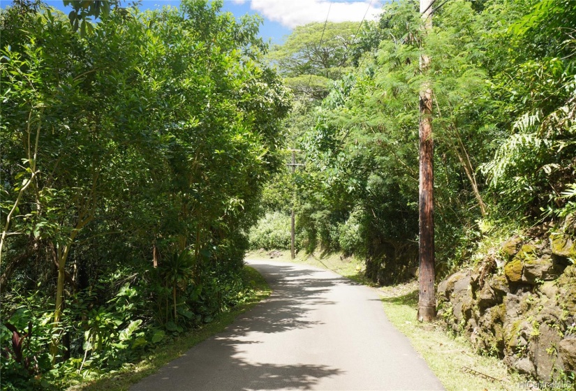 One section of Lai Rd fronting Lai Rd.  Property on the left.  In total, the entire 2.92 acres has 1/4 mile of frontage.