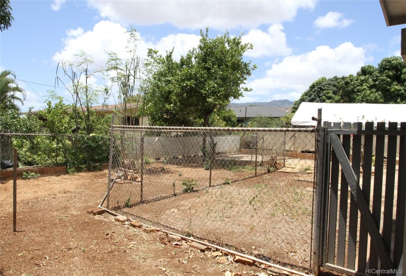 Fenced in area in the back yard, perfect for gardening.