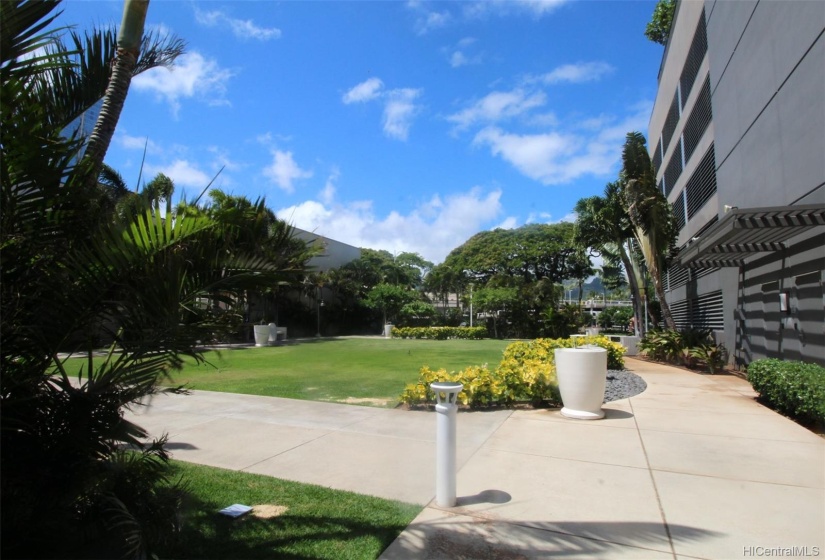 a plaza park where dogs can have off leash hours from 4 to 7pm daily.