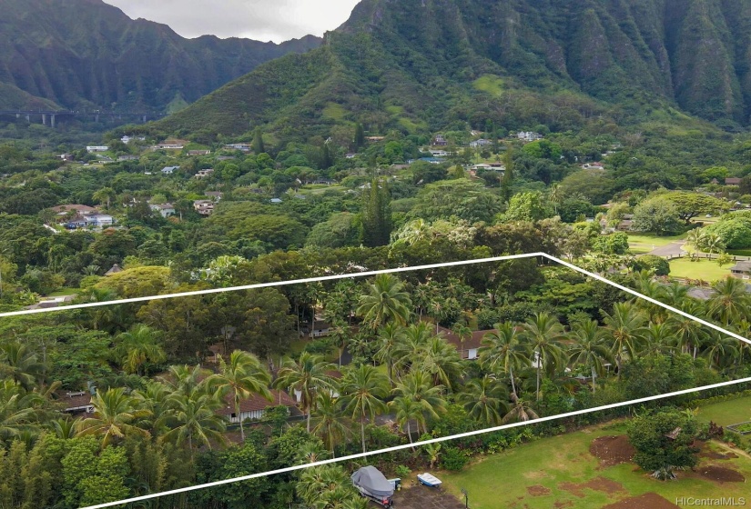 Amazing mountain views with wonderful trees and palms.