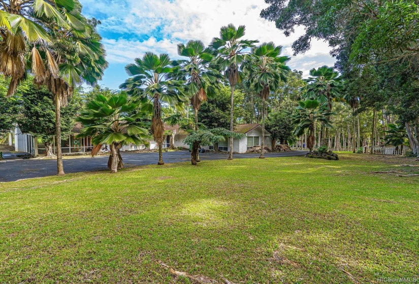 Great property to avoid the crowds and stay free from the pandemic. Relief from the rat race and side by side homes. Space for the whole family compound to enjoy safely. Haiku Plantations Hawaii