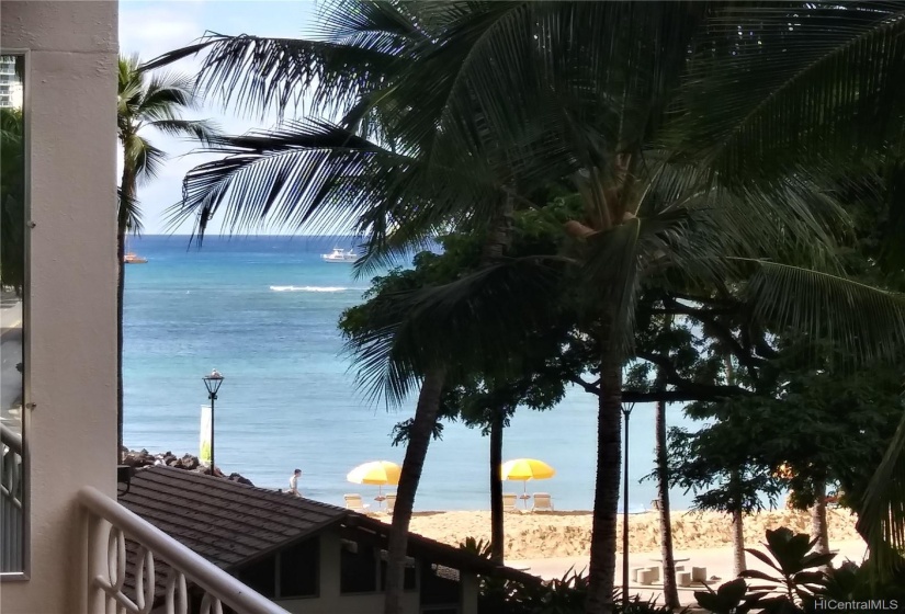 Fluttering palm frond latticed beach and ocean view