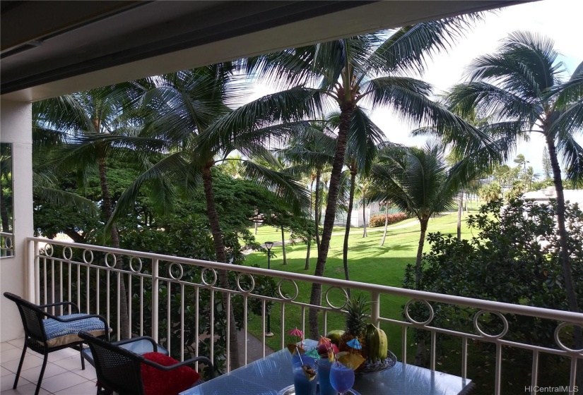 Palm frond latticed beach, ocean and lush tropical park view