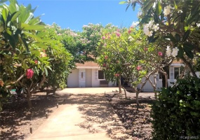 Numerous plumeria, guava, avacado, & Hong Kong orchid trees greet you as you arrive home.