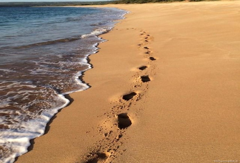 beautiful Papohaku Beach