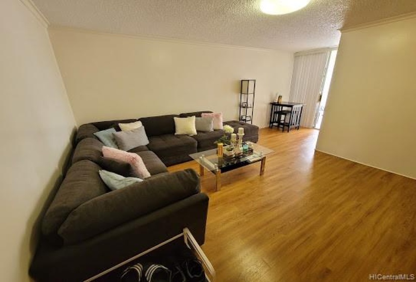 Living Room from the entry door