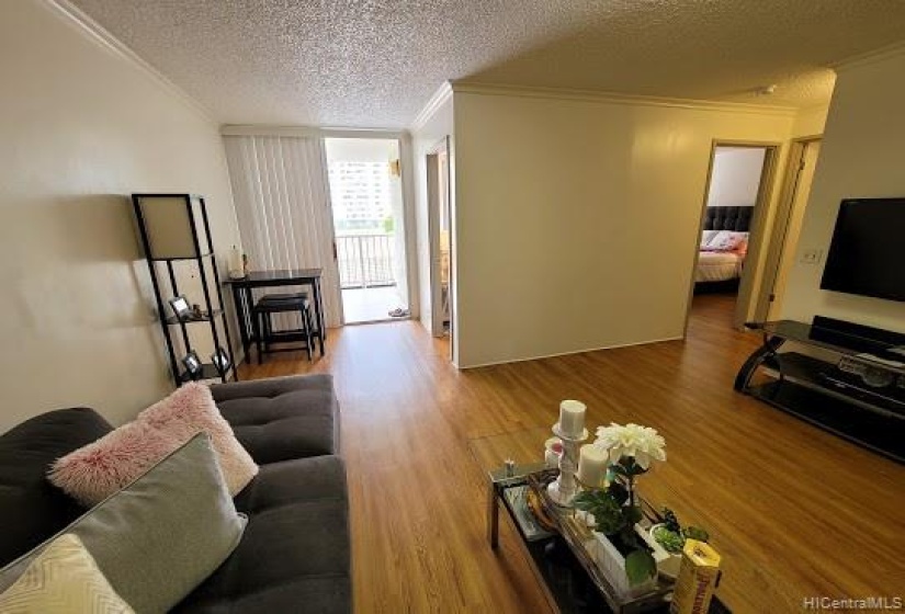 View of the living room towards the lanai