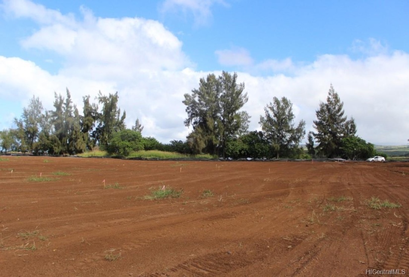 The property is ready for construction of up to 5 homes