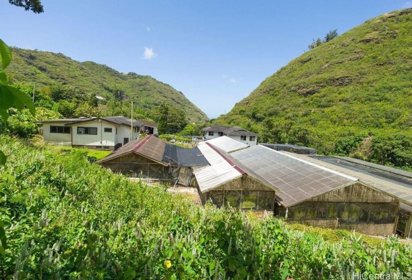 More greenhouses cover the area behind the main house. The workshop is seen in the background.