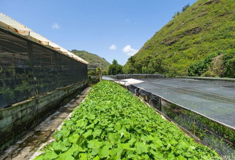 This area is between the backside of the workshop and the hillside.