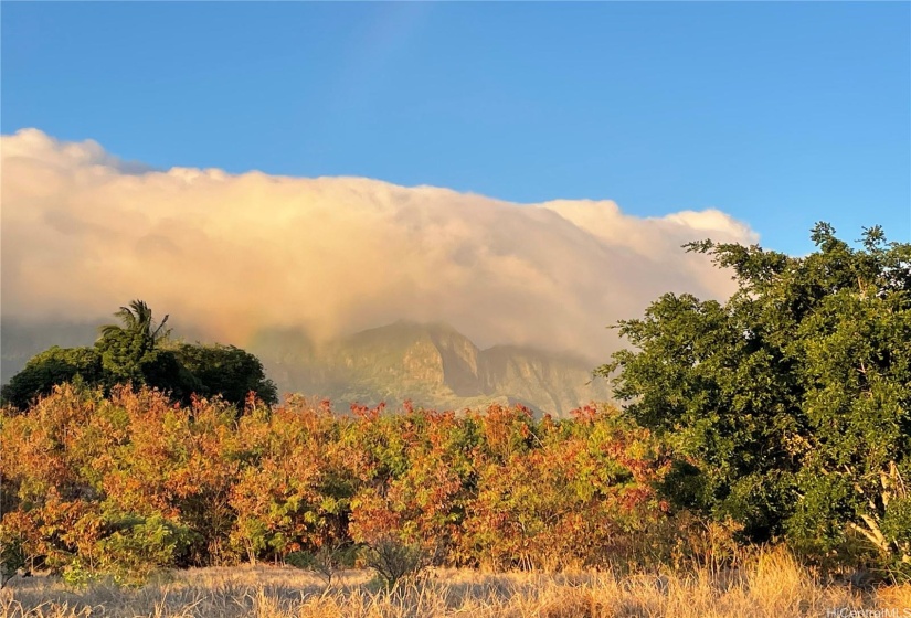 Clouds over the mountains