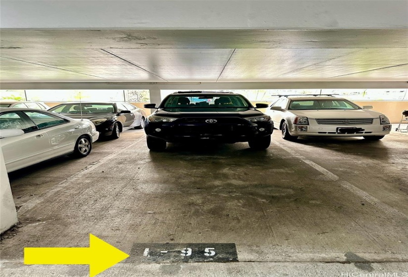 Tandem parking stall basement level