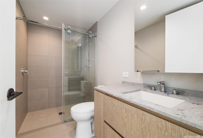 Guest bathroom with standing shower.