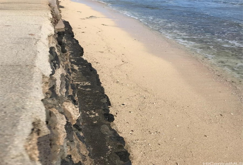 Another view of the beach from the top of the seawall.