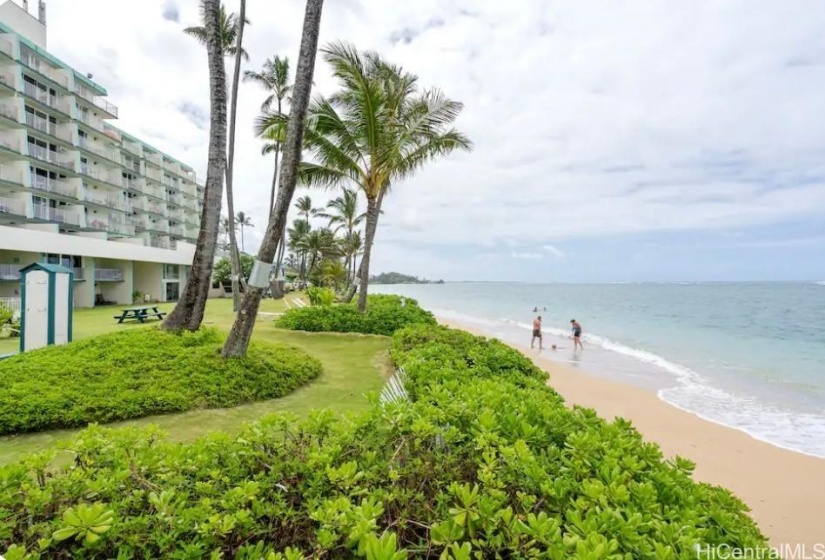 Sandy Beach Towards Building