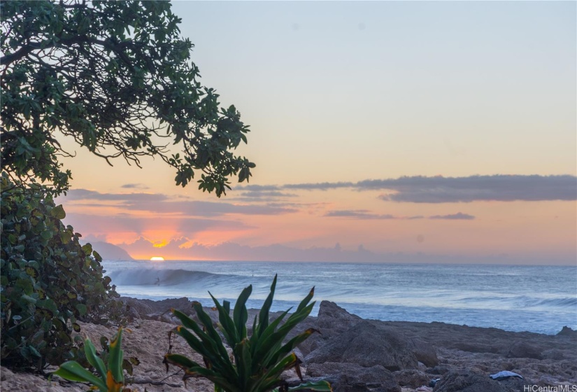 Beach View