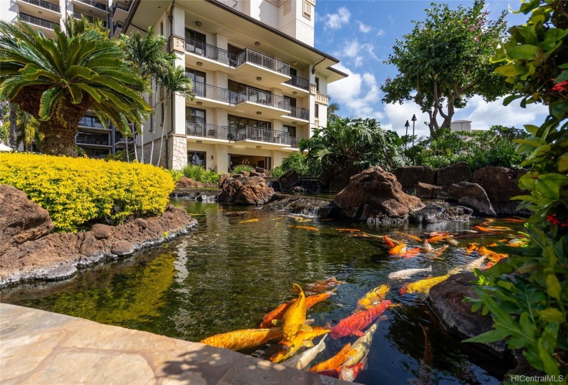 Dozens of large prized koi fish lead the lazy life in the water feature area adjacent the #O-121 ground floor Villa.