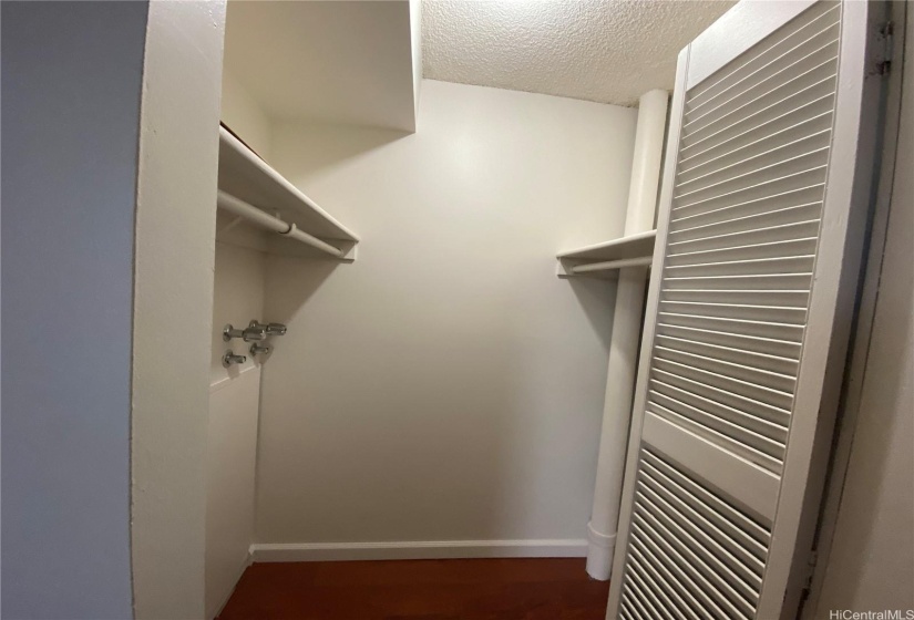 bedroom's walk-in closet