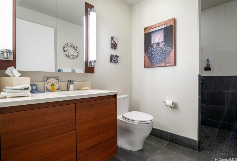 Guest Bath with walk in Shower