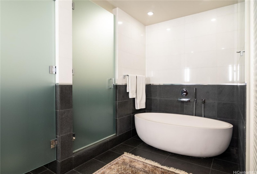 Primary Bath Tub, Separate private Shower and Toilet