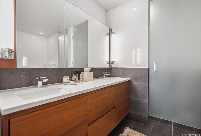 Primary Bath Vanity with Double Sink, Mirrored Medicine Cabinets with side lighting.