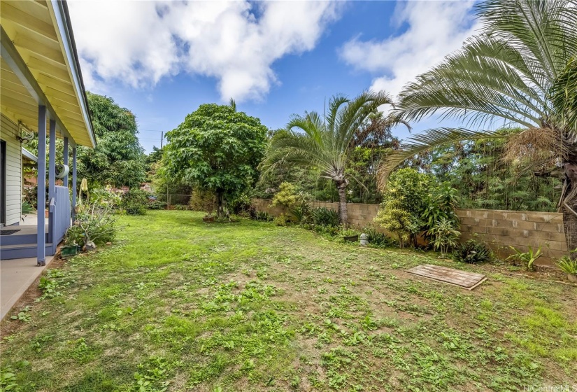 LARGE YARD WITH MANGO TREE, KUKUI NUT TREE, AND TIARE PLANTS