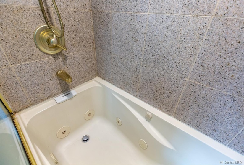 Jacuzzi bathtub in Master bathroom.