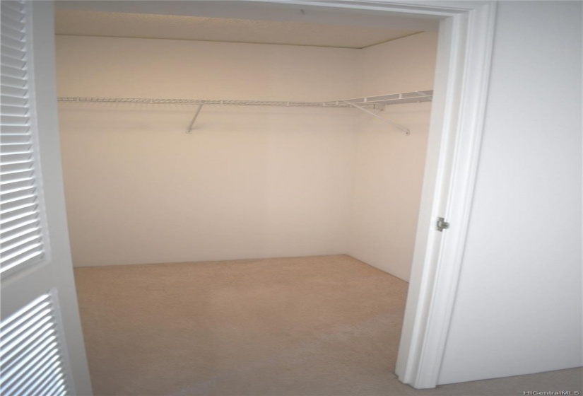 Walk in closet in bedroom