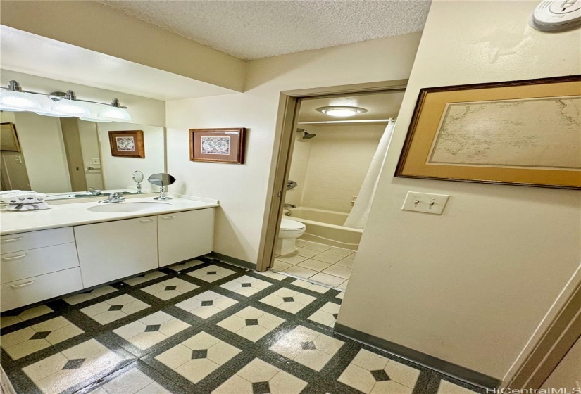 Bathroom Vanity and Water Closet