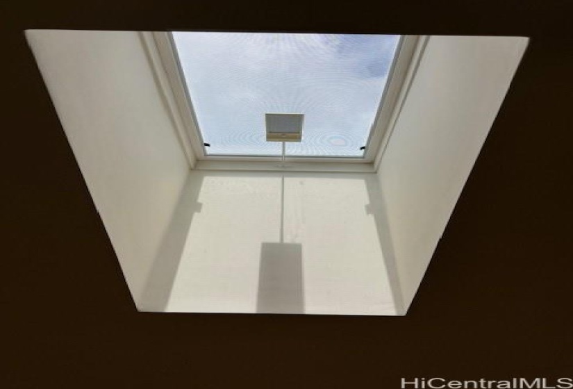 Living Room Skylight lets natural light in.