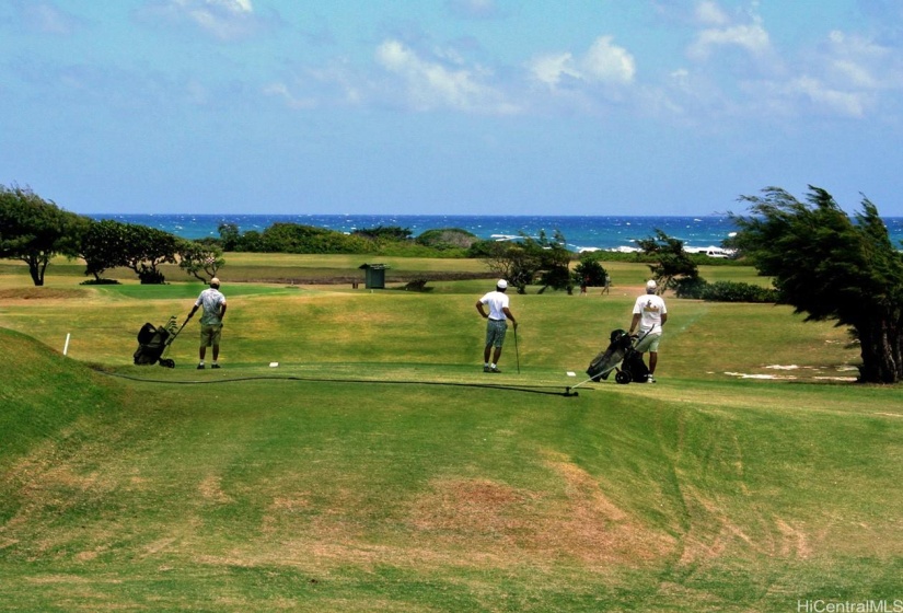 Turtle Bay Golf Course is 1/2 mile to the west, and Kahuku Golf Course is about 2 miles to the east of the property.