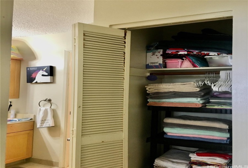 Nice-sized Linen/Utilty Closet is separate from the Mirrored Closet for clothes!