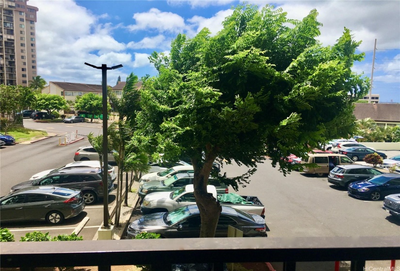 Treetop Views from the Living Room Lanai :)