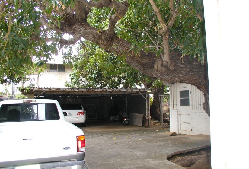 Carport with Metal Roof