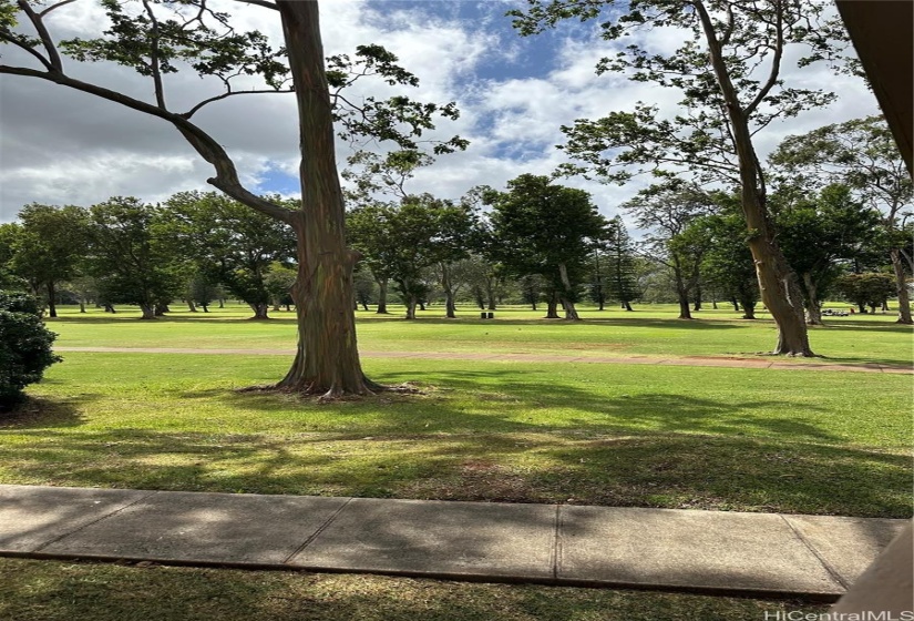 Golf Course View