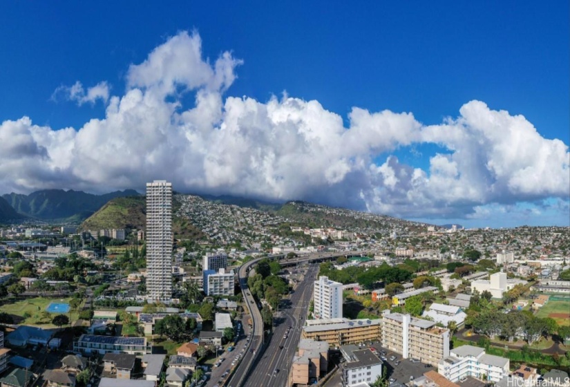 Mauka view from 265' (Est. Level 29)