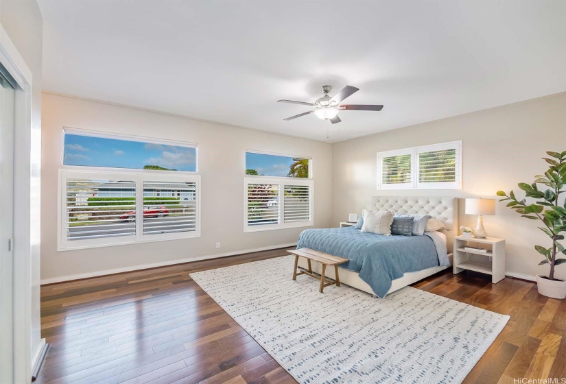 Downstairs bedroom