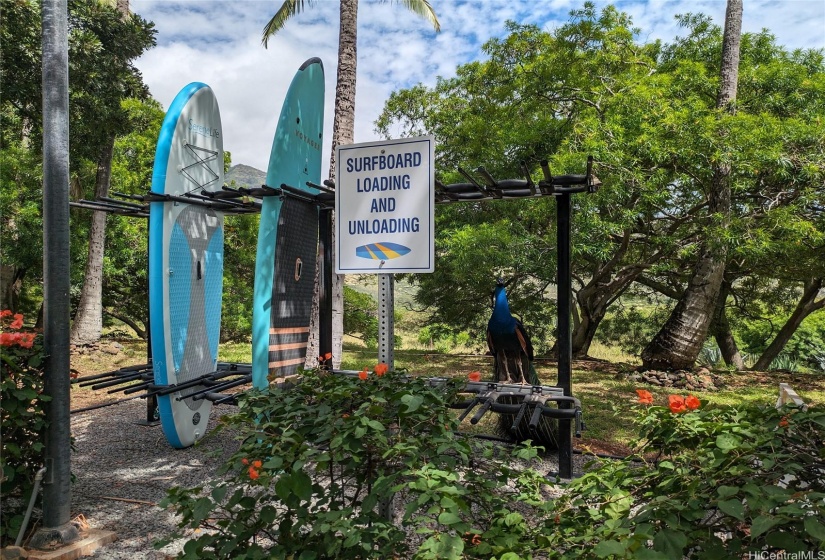 Surfboard rack with a peacock keeping an eye on things.