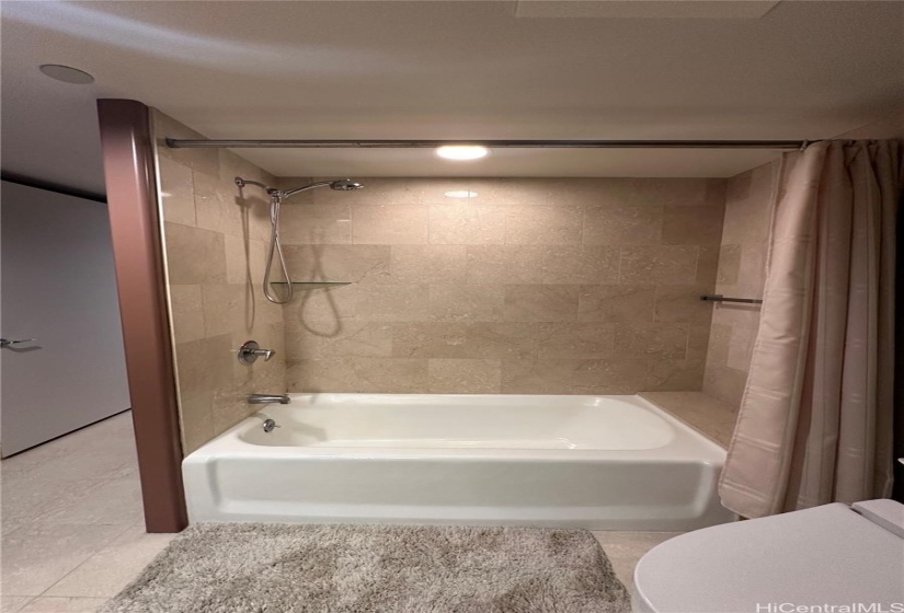 Master Bath Tub/Shower