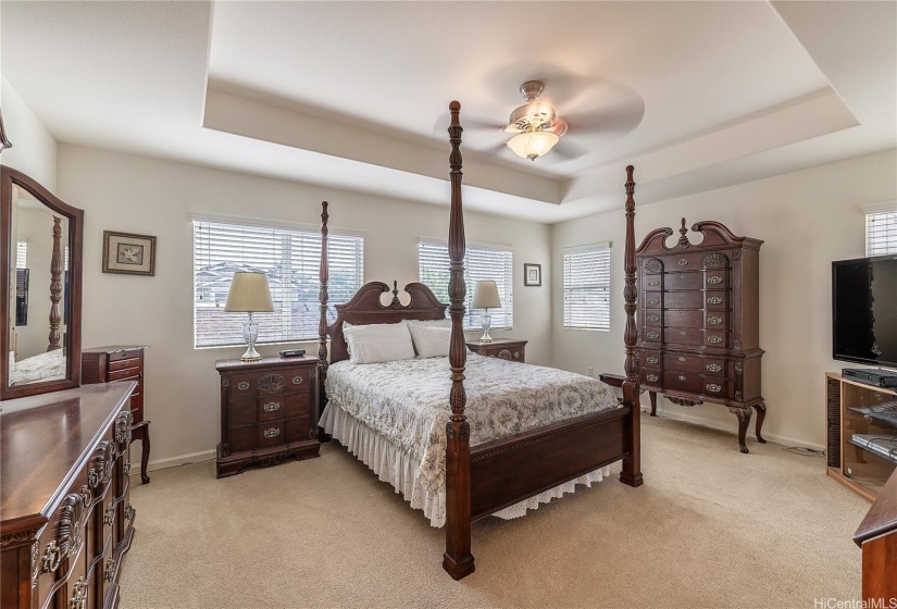 Primary bedroom vaulted ceilings walk in closet.