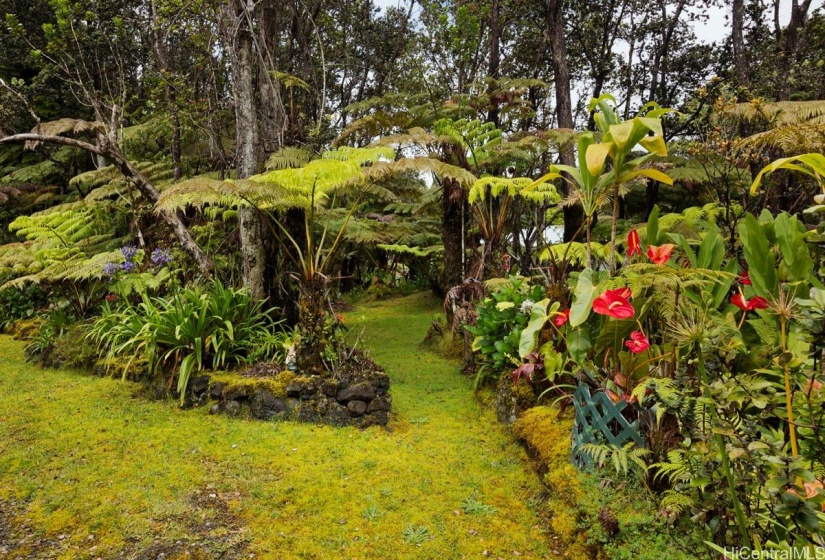 Tropical Gardens