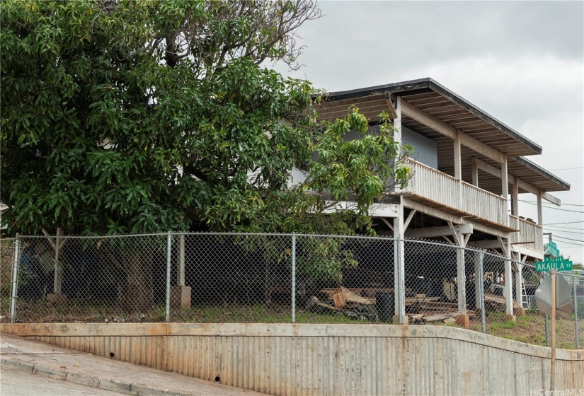 The mango tree is huge and located on the left side of property