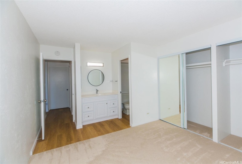 view of the primary bathroom from the bedroom-new vanity/counter/mirror/light/hardware (shower/enclosure/toilet older)