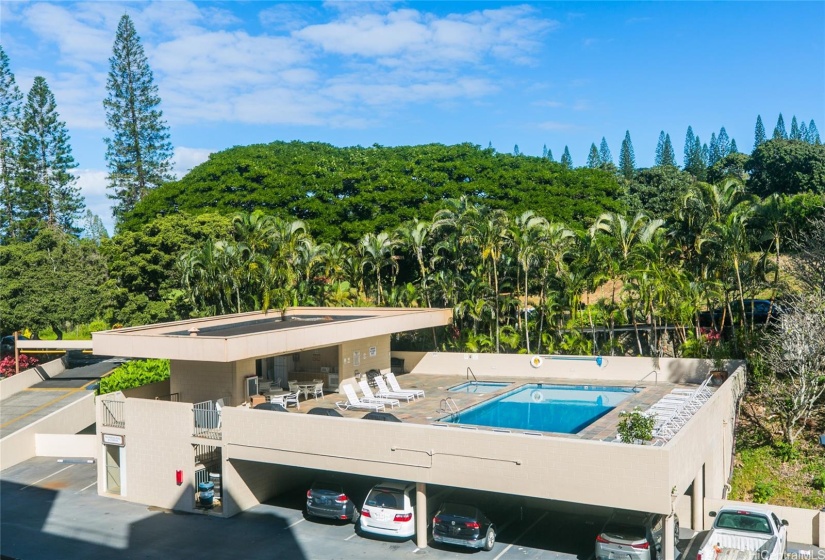 swimming pool/whirlpool and recreation room