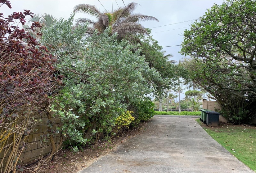 Driveway to Kamehameha Highway