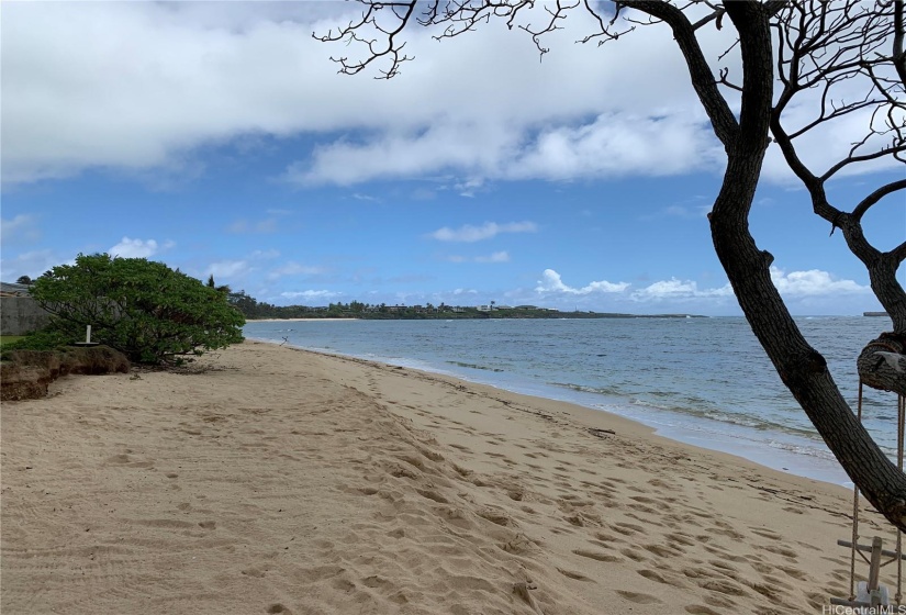 Looking north towards Laie Point.